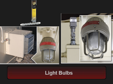 Light Bulbs