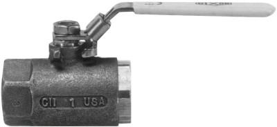 Dixon Valve Ball Valves, 1/4 in (NPT) Inlet, Female/Female, Stainless Steel, SSBV25